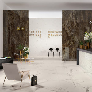 Art: Avenzo Silver 60X120